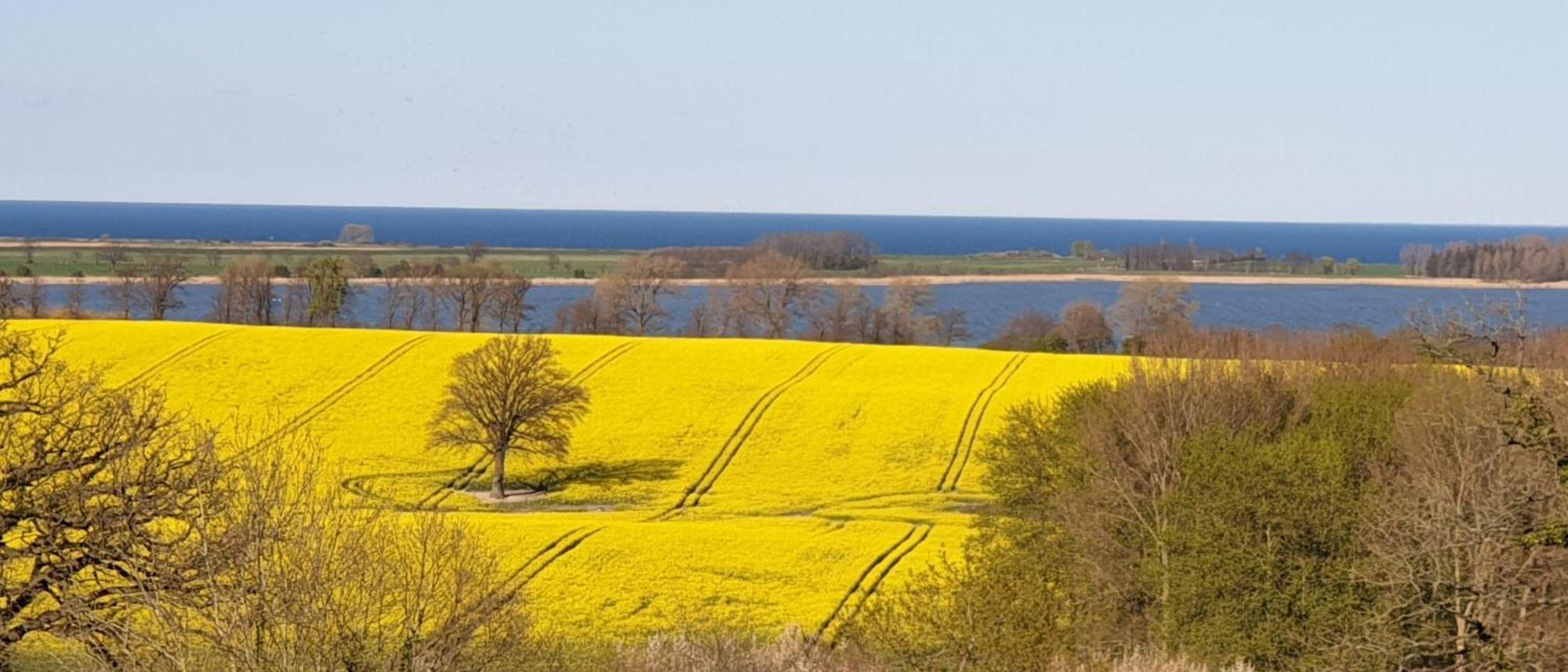 Idyllisches-Blockbohlenhaus-Mit-Eigenem-Garten-Und-Sauna-Zum-Wohlfuehlen Martensrade Dış mekan fotoğraf