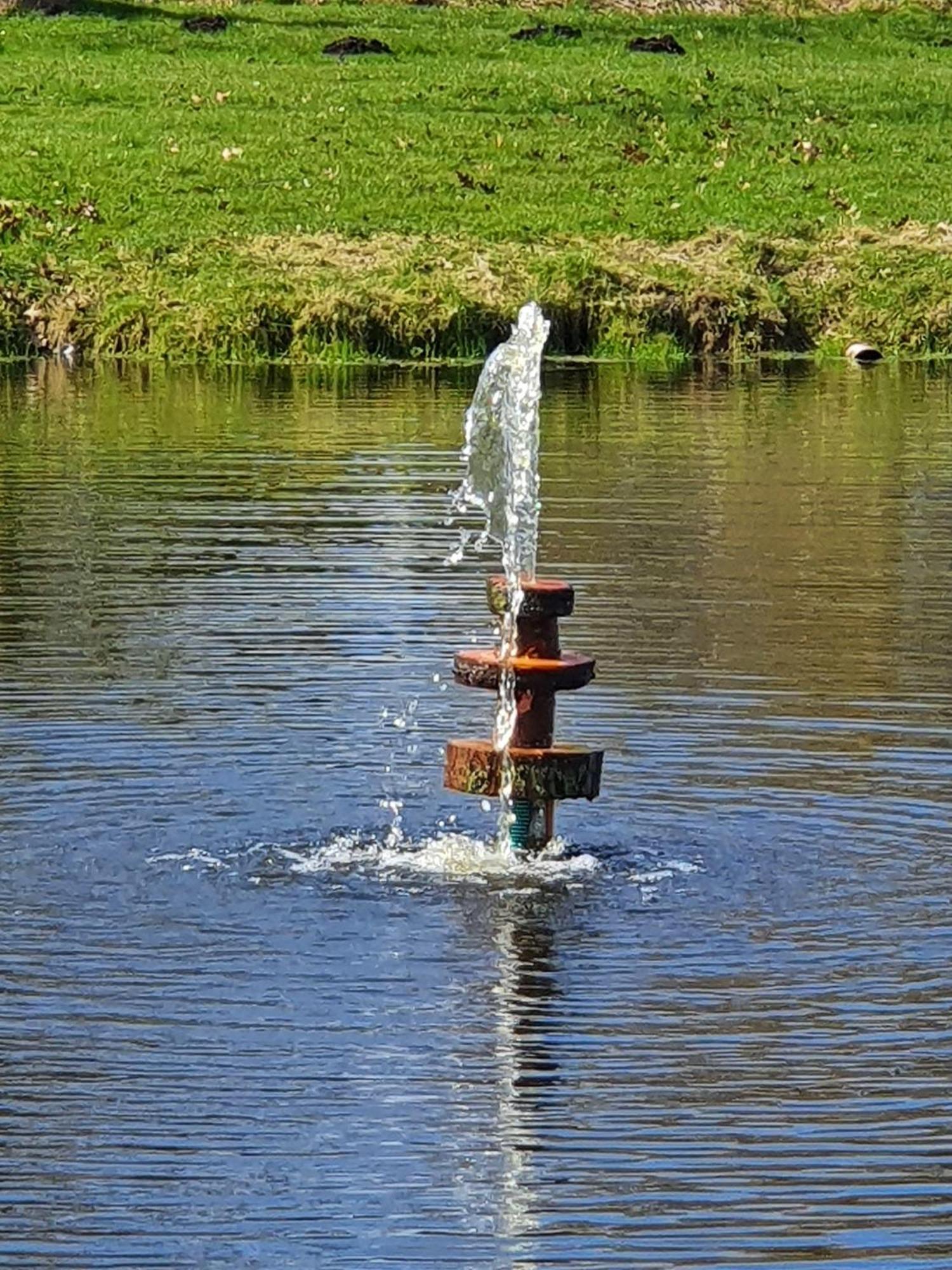 Idyllisches-Blockbohlenhaus-Mit-Eigenem-Garten-Und-Sauna-Zum-Wohlfuehlen Martensrade Dış mekan fotoğraf