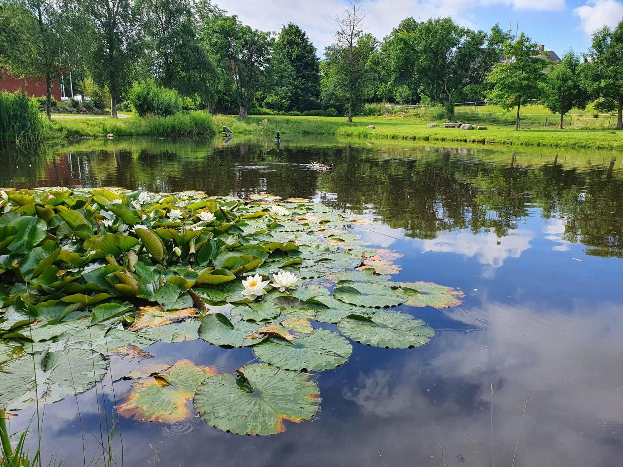 Idyllisches-Blockbohlenhaus-Mit-Eigenem-Garten-Und-Sauna-Zum-Wohlfuehlen Martensrade Dış mekan fotoğraf