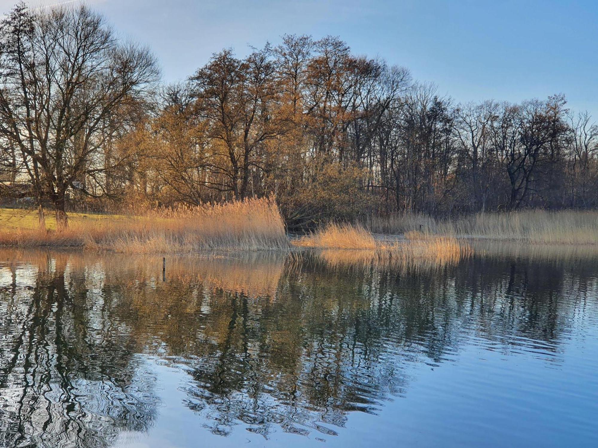 Idyllisches-Blockbohlenhaus-Mit-Eigenem-Garten-Und-Sauna-Zum-Wohlfuehlen Martensrade Dış mekan fotoğraf